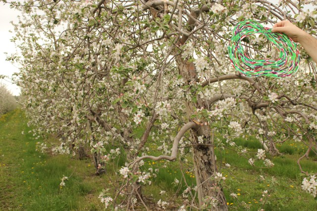 10GR2012Rougemontprintemps 480